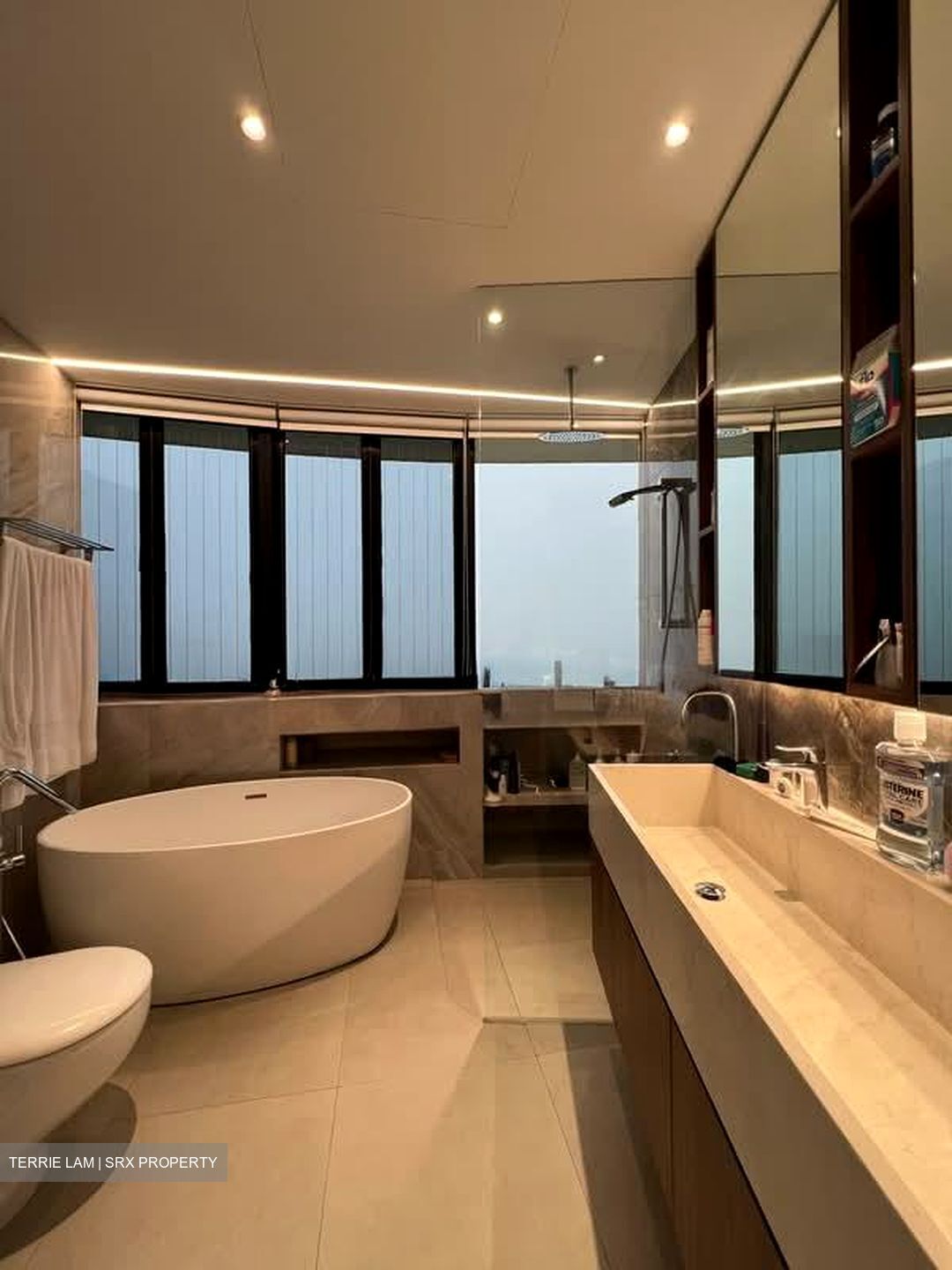 The Draycott (D10), Apartment #569548601